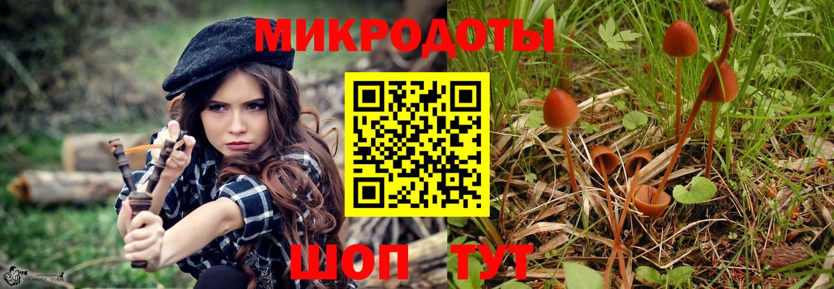 Псилоцибиновые грибы GOLDEN TEACHER Туапсе